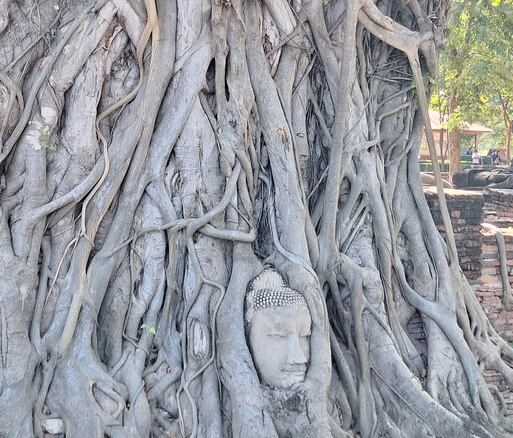 Wat Mahathat_ Ayutthaya (6)